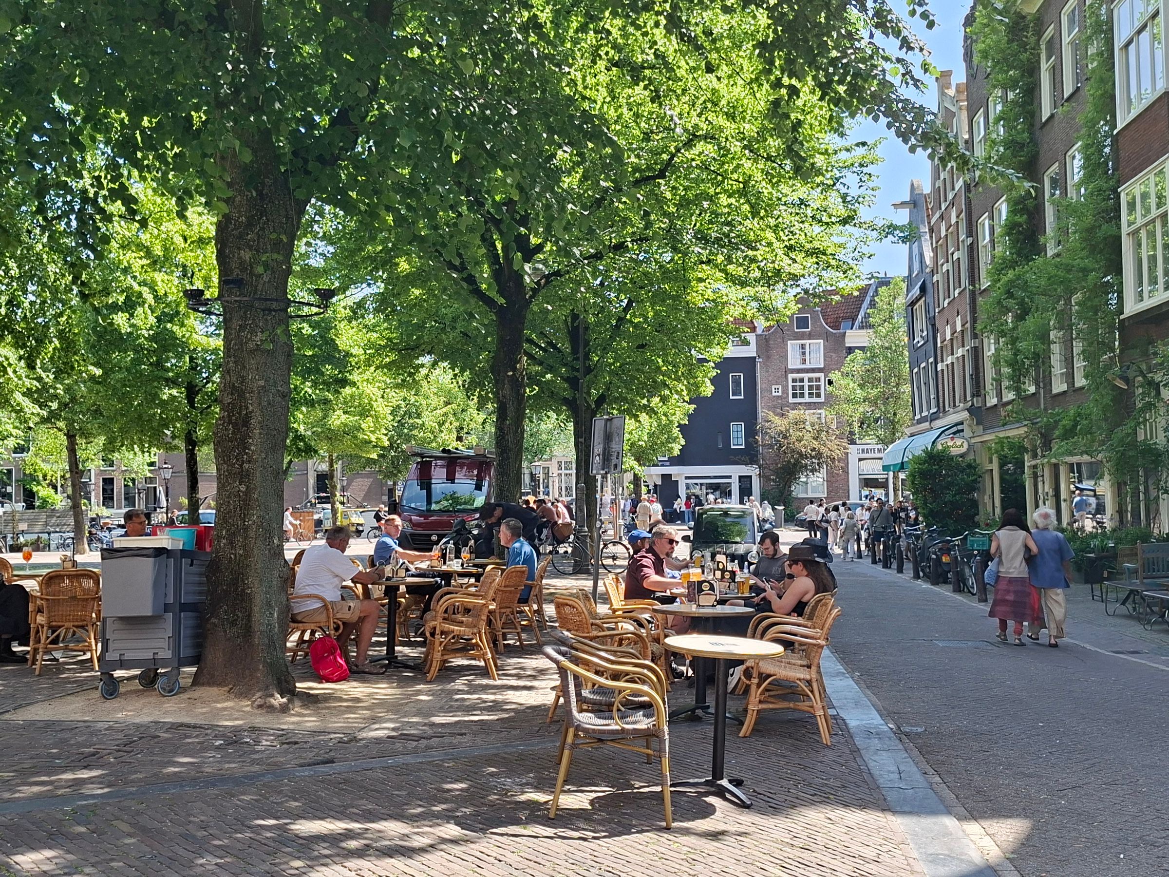 Een vol terras onder de bomen in een zonnige Amsterdamse straat.
