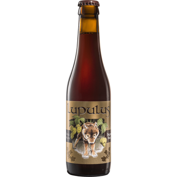 Lupulus Brune